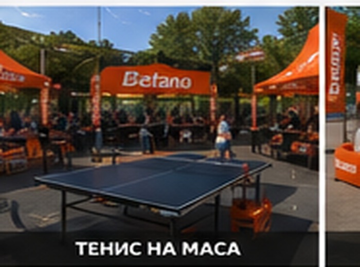 Тенис на маса